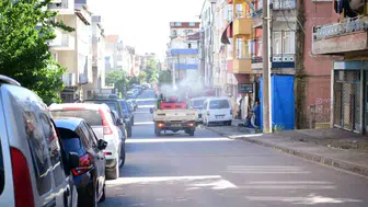 Çayırova Belediyesi yaz için sineklerle savaşı başlattı