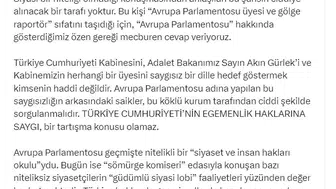 AK Parti Sözcüsü Çelikten Avrupa Parlamentosuna sert tepki