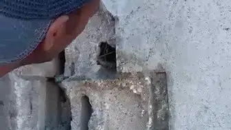 Kars’ta usta yeni yaptığı sıvayı kuşlar için kırdı