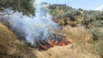 Aydın Yenipazar'da makilik alanda çıkan yangın kontrol altına alındı