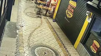 İzmit'te gece yürüyüşüne çıkan mühendise sokak ortasında vahşi saldırı