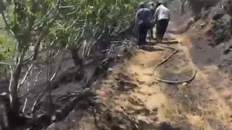 Nazilli'de bir öğle yemeği incir bahçesini küle çevirdi