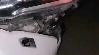 Elazığ’da gece yarısı domuz sürüsüyle çarpışma