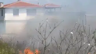 Bursa'da buğday tarlasında korkutan yangın