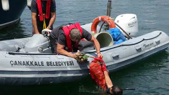 Çanakkale Yat Limanı deniz dibinden çıkan çöplerle şaşkına çevirdi