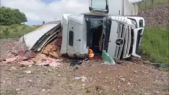 Amasya'da tavuk yüklü tır devrildi