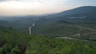 İzmir ormanlarına girişler 5 ay boyunca yasaklandı