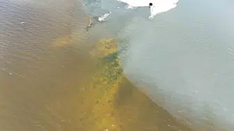 Küçükçekmece Gölü can çekişiyor Marmara ile yan yana felaket manzarası