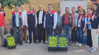 Aydın incirinde yeni sezon hazırlıkları sahada başladı
