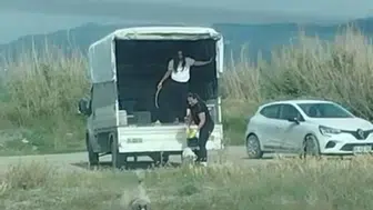 Milleyha Sulak Alanı'na kaçak köpek bırakıldı