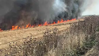 Çorlu’da buğday tarlası yangını paniği