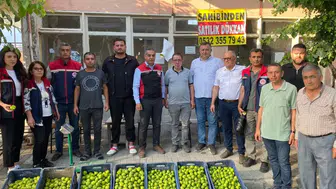 İncir sezonu için kritik ilek denetimi başladı