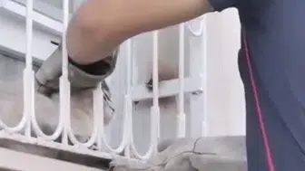 Osmaniye'de mahsur kalan kediye itfaiye yardımı