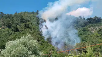 Bursa Osmangazi orman yangınıyla mücadele ediyor