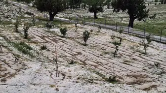 Mersin Erdemli'de dolu yağışı tarım arazilerini vurdu