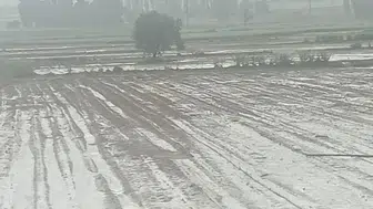 Kayseri'de dolu felaketi Binlerce dönüm tarım arazisi küle döndü