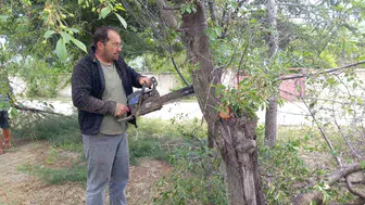 Afyon Yarımca Köyü muhtarı kurumaya yüz tutan ağaçları kurtardı