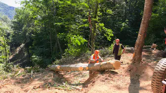 Bursa'da ormancılar teknolojiyi kullanarak ölümcül riski azalttı
