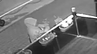 Lokanta önündeki çiçekleri kökünden söken kişiyi güvenlik kamerası yakaladı