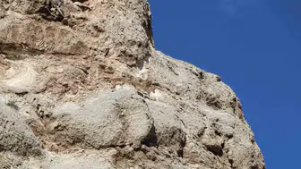 Sivas yollarında ormanın hayaletleriyle karşılaştılar