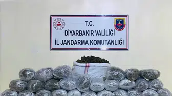 Diyarbakır kırsalındaki büyük uyuşturucu operasyonunda 31 kişi yakalandı