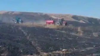 Siirt'te hasat paniği Biçerdöver tarlayı ateşe verdi