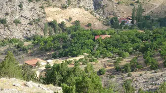 Kayıp Aysel Yıldırım için sarp arazide geniş çaplı arama