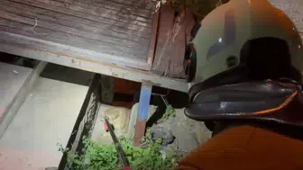 İskenderun’da bahçeye giren davetsiz misafir korkuttu