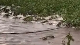 Kayseri'de sel kabusu tarlaları vurdu