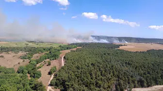 Eceabat'ta tarım arazisinde başlayan yangın ormana sıçradı