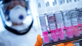 H5N1 kuş gribi Avustralya sınırlarını aştı: Küresel salgında tüm kıtalar virüsle tanıştı