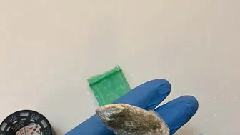 Ünlü isimlere uyuşturucu operasyonu