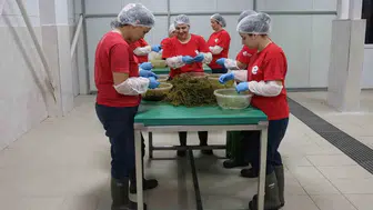 Efelerli kadınların el emeği dünyaya açılıyor
