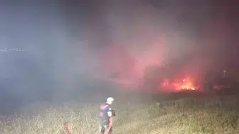 Bandırma’da çamlık yangını korkuttu