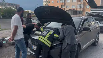 Erzurum'da otomobilin motoruna gizlenen yavrular itfaiye ile kurtarıldı