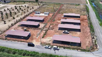 Efeler sokak hayvanları için dev bir yaşam merkezi kuruyor