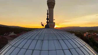 Kastamonu semalarında leyleklerin cami kubbesindeki huzurlu molası