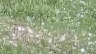 Van'da dolu yağışı ekili alanları vurdu