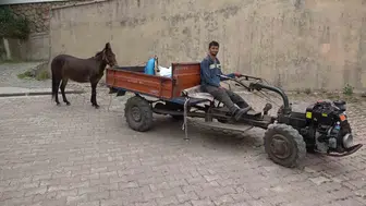 Amasyalı engelli gencin en sadık yol arkadaşı katırı oldu