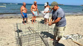 Didim sahillerinde caretta caretta heyecanı