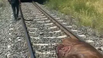 Palu demiryolunda beklenmedik kaza trafiği aksattı