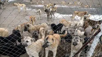 Edremit'te korkutan alarm: Mahalle mahalle karantina dönemi başladı