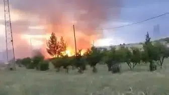 Adıyaman'da elektrik direğinden sıçrayan kıvılcımlar tarlayı yaktı