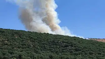 Silvan'da orman yangını ekipleri harekete geçirdi