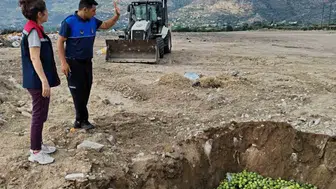 Aydın incirini korumak için hastalıklı ürünler imha edildi