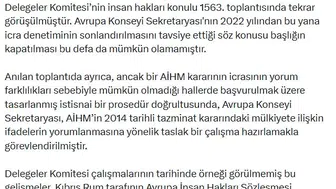 Türkiye Avrupa İnsan Hakları mekanizmasının siyasallaşmasına tepki gösterdi