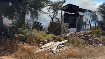 Cunda Adası’ndaki yangın zeytinlikleri küle çevirdi