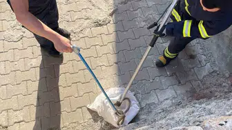 Siirt’te bir evin bahçesinde 1,5 metrelik yılan paniği