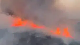 Gaziantep Oğuzeli’nde buğday tarlaları alevlere teslim oldu