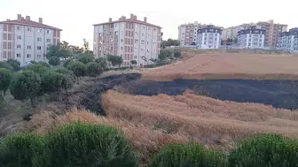 Bandırma’da buğday tarlası alevlere teslim oldu